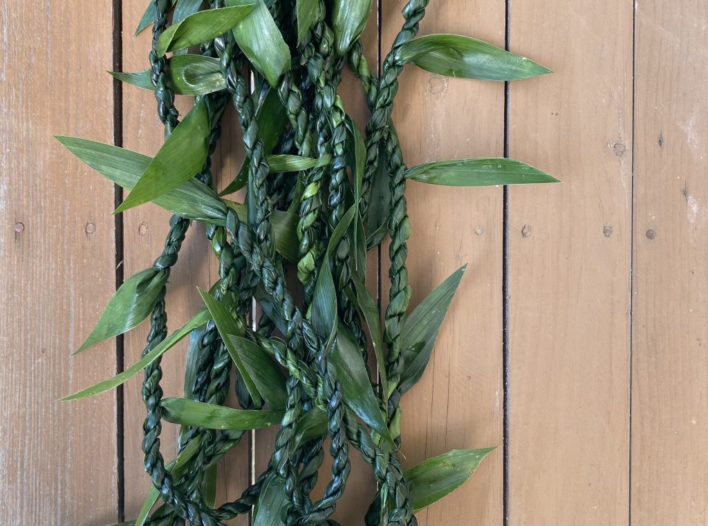 写真：葉蘭のレイ