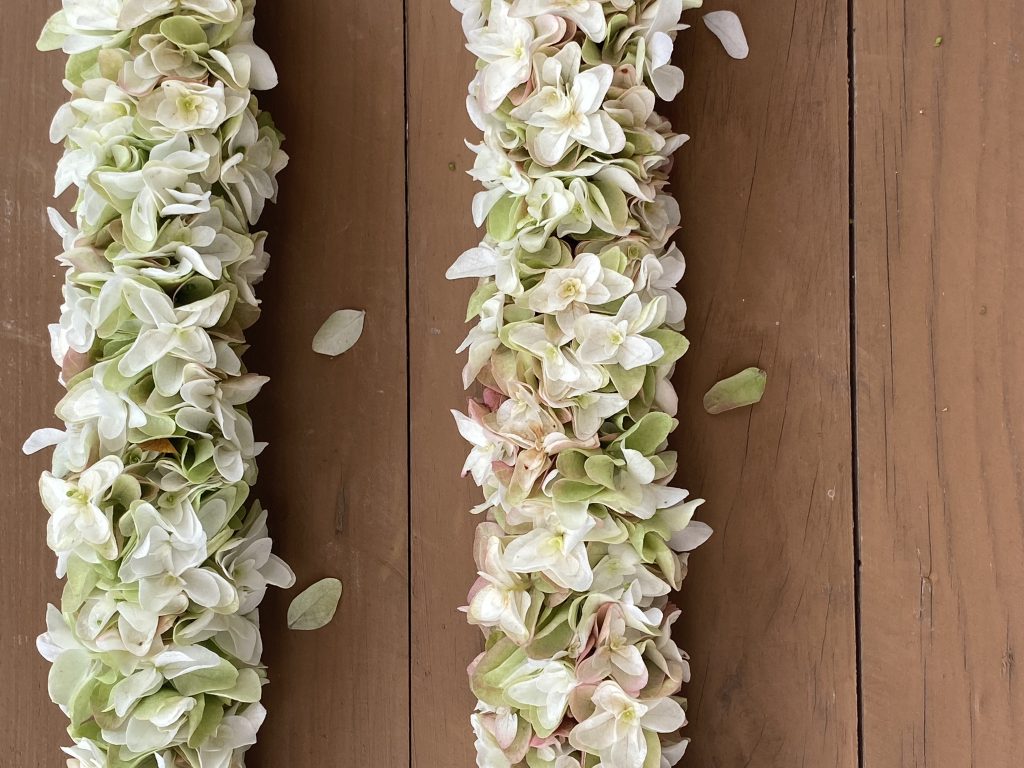 写真：白いあじさいのレイ